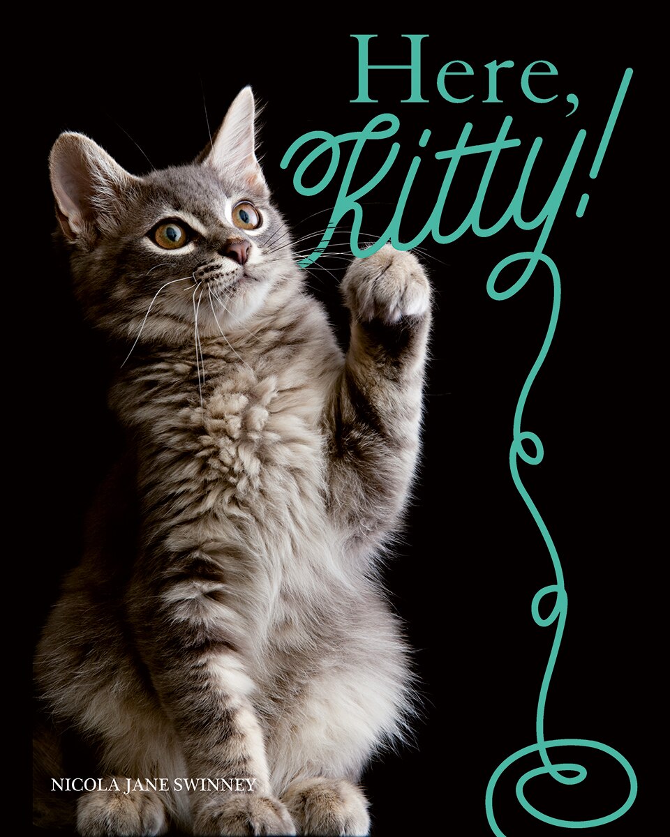 Here, Kitty! - image 1