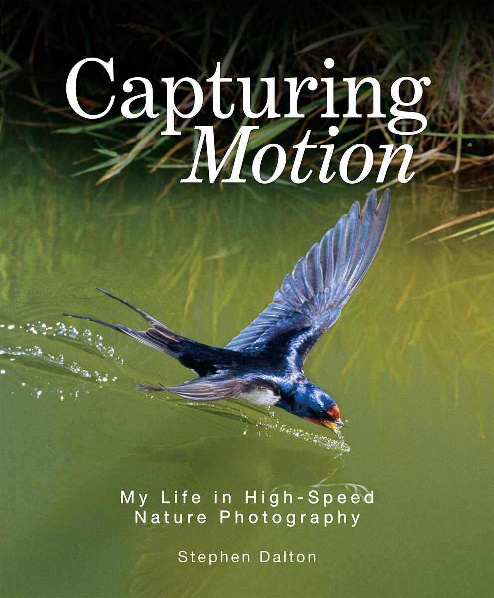Capturing Motion: My Life in High-Speed Nature Photography - image 1