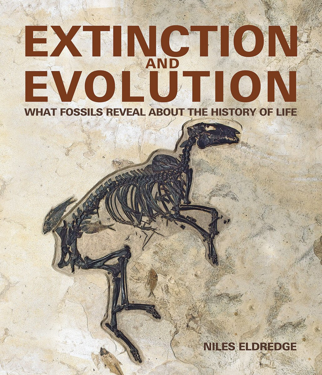 Extinction and Evolution: What Fossils Reveal About the History of Life - image 1