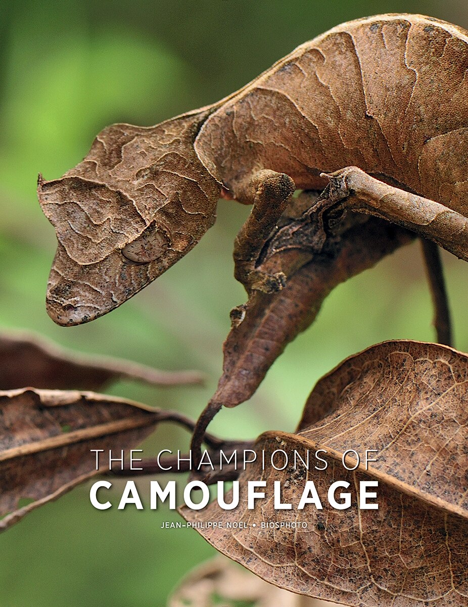 Champions of Camouflage - image 1